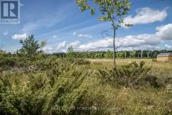 LOT 250 McGuire Beach Road Unit# LOT, Kawartha Lakes, Ontario K0M2B0, ,Commercial,For Sale,McGuire Beach,X6744628