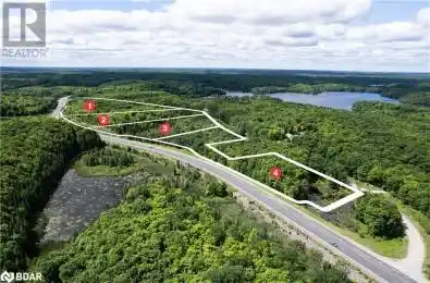 4 Highway Unit LOT Minden Ontario K0M2L1