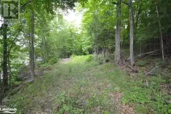 COUNTY ROAD 21, Haliburton, Ontario K0M1S0, ,Commercial,For Sale,COUNTY ROAD 21,40560690