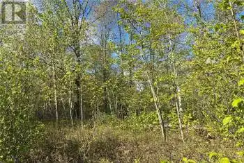 Lot 6 CASSON Trail Unit# LOT, Madawaska Valley (570 - Madawaska Valley), Ontario K0J1B0, ,Commercial,For Sale,Chippawa Shores,CASSON,X9515401