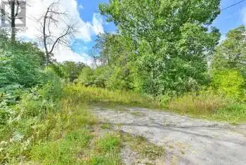 178 Sunrise Drive, Prince Edward County (Ameliasburgh), Ontario K8N4Z7, ,Commercial,For Sale,Sunrise,X8291614