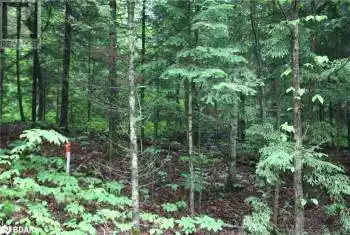 QUARRY Road, Bancroft, Ontario K0L1C0, ,Commercial,For Sale,QUARRY,40596503