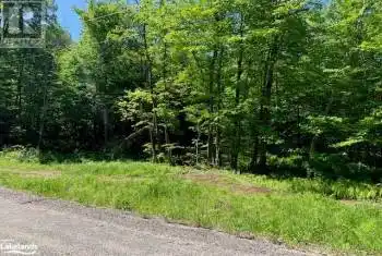 60 SUMMER LEIGH Trail, Huntsville, Ontario P0B1M0, ,Commercial,For Sale,SUMMER LEIGH,40598415