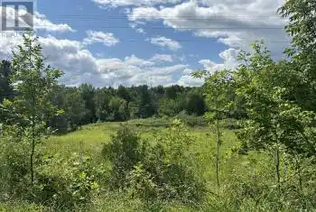 Scotch Settlement Road, Madoc, Ontario K0K2K0, ,Commercial,For Sale,Scotch Settlement,X8394670