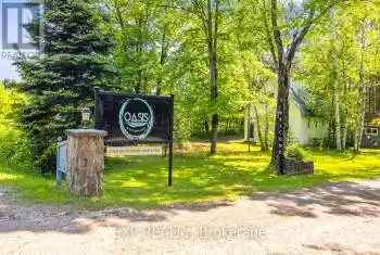 1190 North Shore Road, Algonquin Highlands, Ontario K0M1J1, ,Commercial,For Sale,North Shore,X8253196