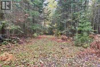 Lot 2-0 Hadlington Road Unit# LOT, Highlands East, Ontario K0L2Y0, ,Commercial,For Sale,Hadlington,X8420194