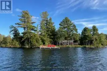 338 Chicopee Island, Douro-Dummer, Ontario K0L2H0, 3 Bedrooms Bedrooms, ,1 BathroomBathrooms,All Houses,For Sale,Chicopee Island,X8228530