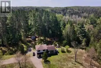 10092 County Road 503, Highlands East, Ontario K0M1R0, 4 Bedrooms Bedrooms, ,2 BathroomsBathrooms,All Houses,For Sale,County Road 503,X8337400