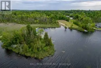 Mill Line Road, Galway-Cavendish and Harvey, Ontario K0M1A0, ,Commercial,For Sale,Mill Line,X8448904