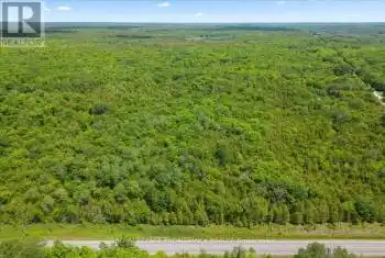 Marlbank Rd, Tweed, Ontario K0K3J0, ,Commercial,For Sale,Marlbank Rd,X8477002