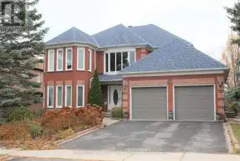 768 Foxcroft Boulevard Unit# bsmt, Newmarket (Stonehaven-Wyndham), Ontario L3X1N1, 1 Bedroom Bedrooms, ,1 BathroomBathrooms,All Houses,For Rent,Foxcroft,N8486860