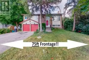 91 Fergus Ave, Richmond Hill, Ontario L4E 3C2, 3 Bedrooms Bedrooms, 6 Rooms Rooms,3 BathroomsBathrooms,All Houses,Sold,Fergus,N8474558