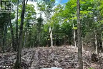 26 WEST Court Unit# LOT, Haliburton, Ontario K0M1S0, ,Commercial,For Sale,WEST,40619970