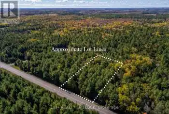 590 County Rd 40, Asphodel-Norwood (Norwood), Ontario K0L2V0, ,Commercial,For Sale,County Rd 40,X9040220