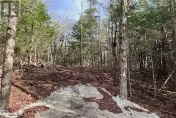 27 BUSHWOLF LAKE Road Unit# LOT, Haliburton, Ontario K0M1S0, ,Commercial,For Sale,BUSHWOLF LAKE,40619968