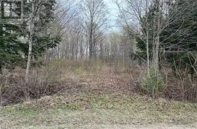 77347 FOREST RIDGE Road Central Huron Ontario N0M1G0