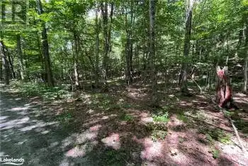 134 BRENNAN Circle Unit# LOT, Huntsville, Ontario P1H2J2, ,Commercial,For Sale,BRENNAN,40628129