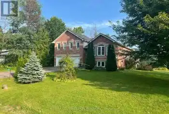 36 Ball Avenue, Brock (Beaverton), Ontario L0K1A0, 4 Bedrooms Bedrooms, ,3 BathroomsBathrooms,All Houses,For Sale,Ball,N9238916