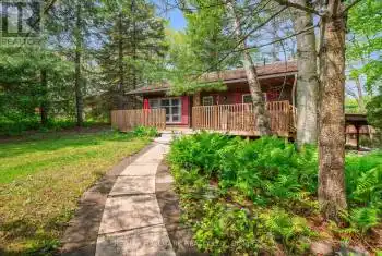 31 Government Dock Road, Kawartha Lakes (Norland), Ontario K0M2L0, 4 Bedrooms Bedrooms, ,2 BathroomsBathrooms,All Houses,For Rent,Government Dock,X9239673