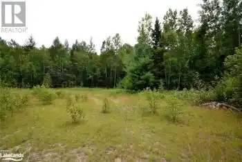 HALIBURTON LK Road, Haliburton, Ontario K0M1S0, ,Commercial,For Sale,HALIBURTON LK,40630324