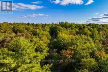 Axe Lake Road, McMurrich/Monteith, Ontario P0A1Y0, ,Commercial,For Sale,Axe Lake,X9254342