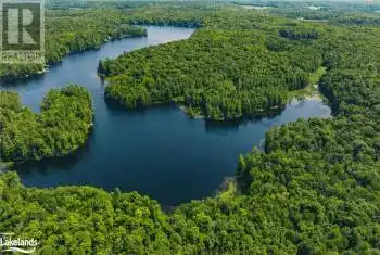 WINDERMERE Road, Muskoka Lakes Twp, Ontario P0B1M0, ,Commercial,For Sale,WINDERMERE,40495171