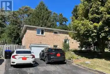 55 Martin Street Unit# Lower, Bradford West Gwillimbury (Bradford), Ontario L3Z1Z4, 1 Bedroom Bedrooms, ,1 BathroomBathrooms,All Houses,For Rent,Martin,N9296396