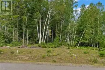 Lot 14 BIRCHVIEW Drive Unit# LOT, Madawaska Valley (570 - Madawaska Valley), Ontario K0J1B0, ,Commercial,For Sale,Sandhill,BIRCHVIEW,X9517756