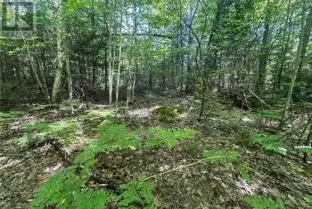 00 GARDEN OF EDEN Road, Horton, Ontario K7V3Z8, ,Commercial,For Sale,Haley Station/Garden of Eden,GARDEN OF EDEN,1411371