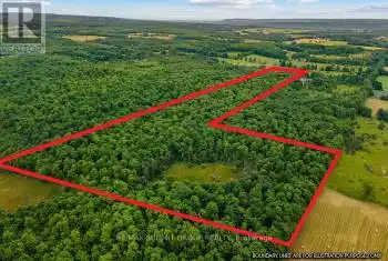 PT LT 6 9TH Line, Grey Highlands, Ontario N0C1H0, ,Commercial,For Sale,9TH,X9348505