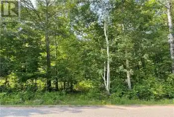 Lot B CHIPPAWA Road, Madawaska Valley (570 - Madawaska Valley), Ontario K0J1B0, ,Commercial,For Sale,Barry's Bay, Combermere, Kaman,CHIPPAWA,X9519314