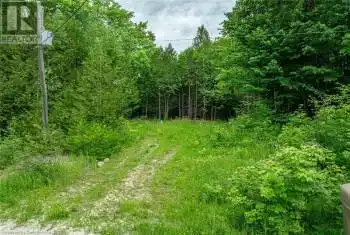 31 8TH CONCESSION B Unit# LOT, Grey Highlands, Ontario N0C1M0, ,Commercial,For Sale,8TH CONCESSION B,XH4198629