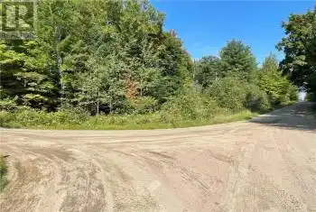 LT32 UPPER ROSENTHAL Road, Palmer Rapids, Ontario K0J2E0, ,Commercial,For Sale,Palmer Rapids,UPPER ROSENTHAL,1412247