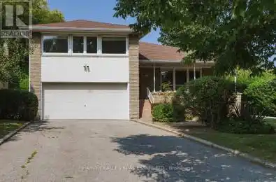 114 Drive Toronto (Clanton Park) Ontario M3H2C4