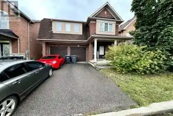 203 Sussexvale Drive Unit# Bsmt, Brampton (Sandringham-Wellington), Ontario L6R0W2, 1 Bedroom Bedrooms, ,1 BathroomBathrooms,All Houses,For Rent,Sussexvale,W9365342