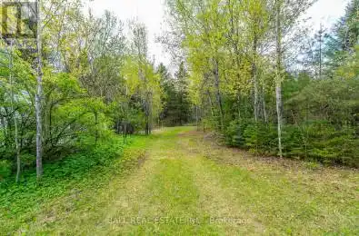 The Avenue Kawartha Lakes (Kinmount) Ontario K0M2A0