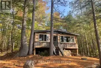 378 SPECTACLE LAKE Road, Madawaska Valley (570 - Madawaska Valley), Ontario K0J1B0, 3 Bedrooms Bedrooms, ,1 BathroomBathrooms,All Houses,For Sale,Spectacle Lake,SPECTACLE LAKE,X9521534