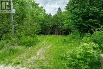 LOT 31 8th Concession B Unit# LOT, Grey Highlands, Ontario N0C1M0, ,Commercial,For Sale,8th Concession B,X8485552