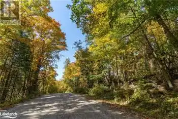 1 DWIGHT BEACH Road Unit# LOT, Dwight, Ontario P0A1H0, ,Commercial,For Sale,DWIGHT BEACH,40659280