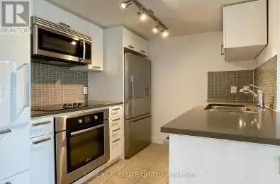 295 Adelaide Street Unit# 424 Toronto (Waterfront Communities) Ontario