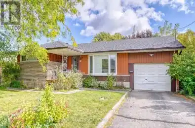 11 Southill Drive Hamilton (Centremount) Ontario L9A3K4