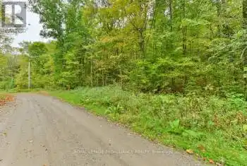 Deroche Road, Tweed, Ontario K0K3J0, ,Commercial,For Sale,Deroche,X9800132