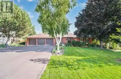 509 Conservation Drive Brampton (Heart Lake East) Ontario L6Z0C2