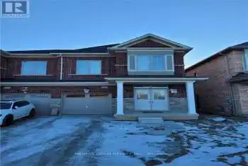 24 Truffle Court Unit# Lower, Brampton (Northwest Brampton), Ontario L7A5A6, 2 Bedrooms Bedrooms, ,1 BathroomBathrooms,All Houses,For Rent,Truffle,W10424629