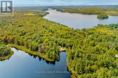 1187 Windermere Route Muskoka Lakes Ontario P0B1M0