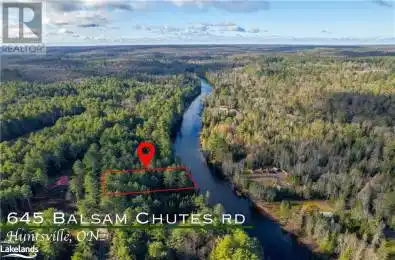 645 BALSAM CHUTES ROAD Port Sydney Ontario P0B1L0