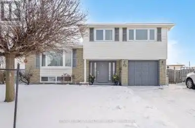 62 Joycelyn Crescent Halton Hills (Georgetown) Ontario L7G2S4