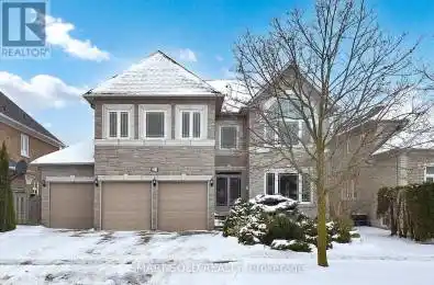 31 Black Walnut Crescent Richmond Hill (Langstaff) Ontario L4B3S3