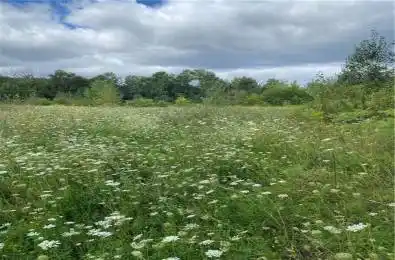 00 JEAN Avenue Laurentian Valley Ontario K8A 5H9