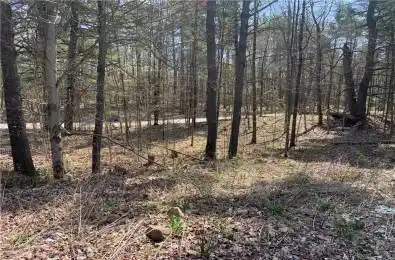 00 CLEAR LAKE Road Rideau Lakes Ontario K0G 1E0